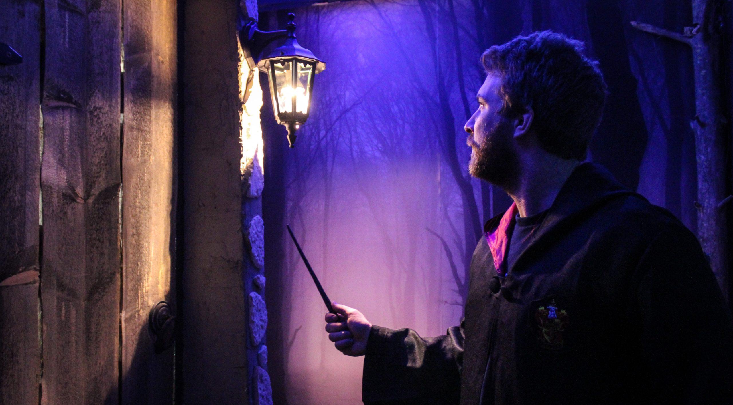 The Wizard’s Legacy